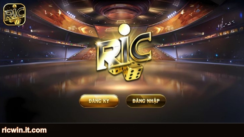 Giới thiệu RICWIN một cách tổng quan