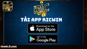 Hướng dẫn các bước tải RICWIN cho người mới
