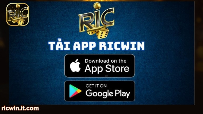 Hướng dẫn các bước tải RICWIN cho người mới