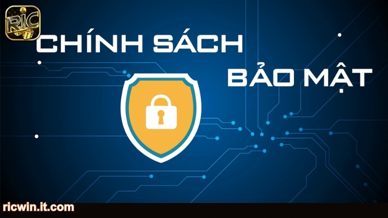 Tìm hiểu chính sách bảo mật RICWIN